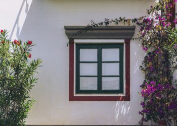 גראן קנריה: החופשה החלומית הבאה